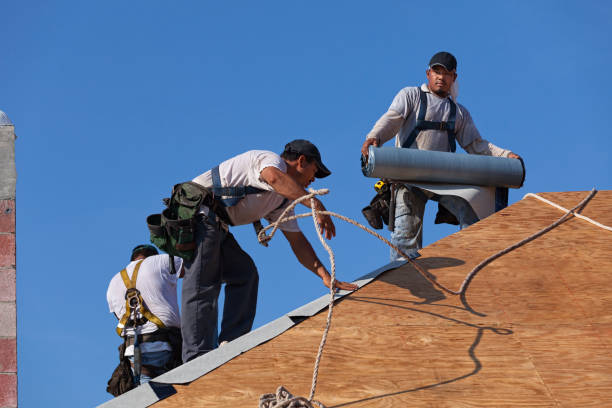 Best Roof Maintenance Services  in Shougal, WA